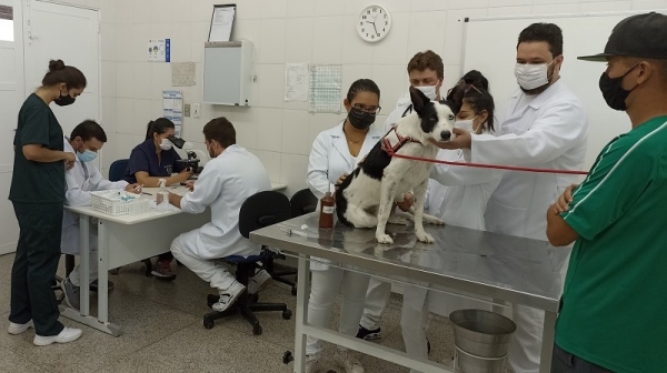 CliVet faz parte do projeto pedagógico do curso de Medicina Veterinária, assim, trata-se de um grande laboratório que atende animais de grande e pequeno portes (Arquivo UniFAI).