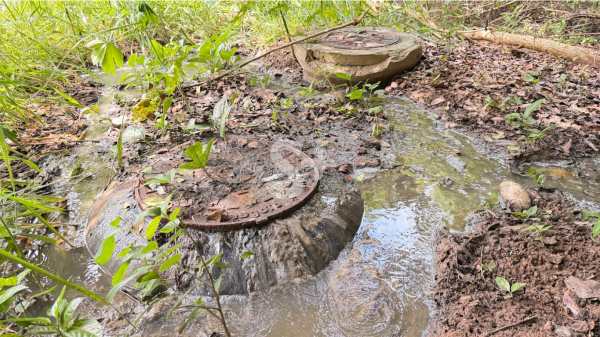 Vazamento de esgoto no Conjunto Murilo Jaccoud (Siga Mais em 31/03/2026, as 11h30)