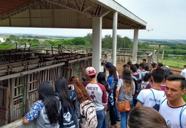 A Mostra de Profissões 2017 da UniFAI, realizada de 16 a 19 de outubro, registrou mais de 5,3 mil participantes. (Foto: João Pedro Lorenzzeti)