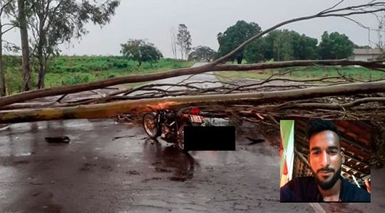 Motociclista chocou-se em árvore caída sobre a pista e morreu no local (Reprodução/Portal Tupacity).