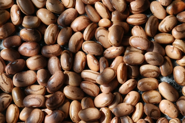 Governo autoriza importação de feijão para reduzir o preço (Foto: Marcos Santos/ USP/Fotos Públicas).