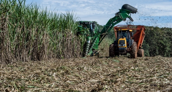 A área colhida deverá ser de cerca de 9 milhões de hectares, com aumento de 468,2 mil hectares em relação à última safra (Foto: Mayke Toscano/Gcom-MT).