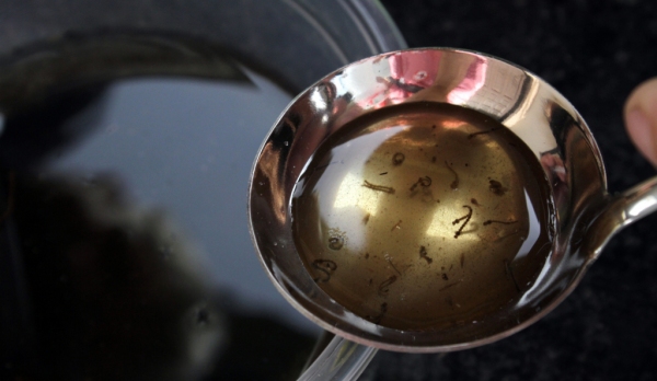 População deve se mobilizar para eliminar criadouros do mosquito Aedes Aegypti (Foto: Ilustração).