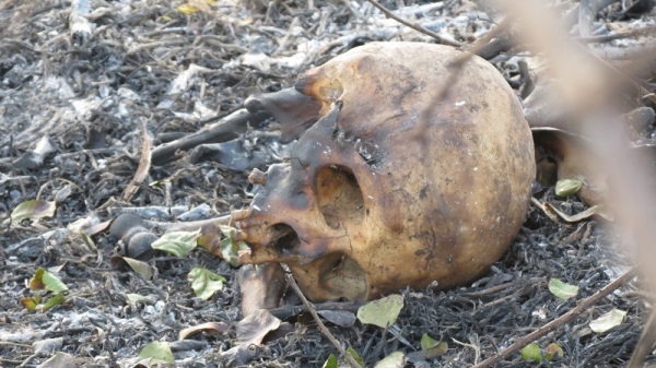 Ossada humana foi encontrada por trabalhadores que atuavam no combate a incêndio em uma área de vegetação (Reprodução/Site Jorge Zanoni).