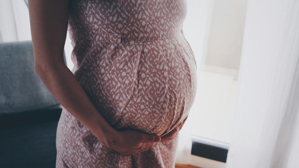 (Imagem: Om?rden Cengiz/Unsplash).