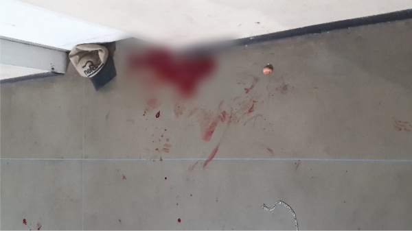 Sangue e, ao lado, parte da orelha da v?tima (Cedida).