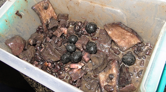 Feijoada com objetos eletrônicos: mulher tentava levar materiais proibidos ao interior da penitenciária, durante visita a preso (Foto: Cedida/SAP/Croeste).