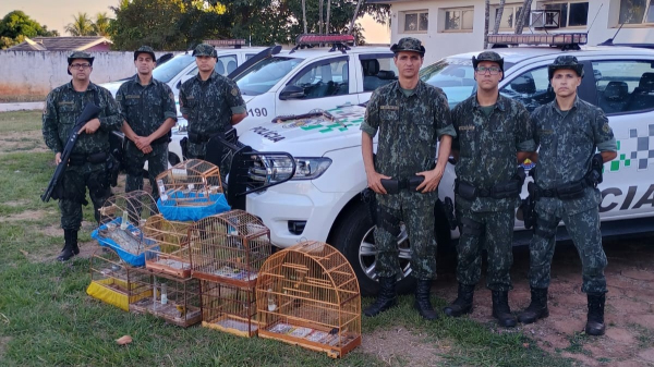 (Cedida/PM Ambiental).