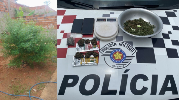 Alem das plantas no quintal, mais drogas foram localizadas na casa (Cedida/PM).