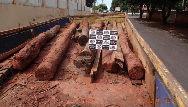 Madeira estava na carroceria de um caminhão, na estada que liga Panorama a Presidente Epitácio (Foto: Cedida/Polícia Civil).