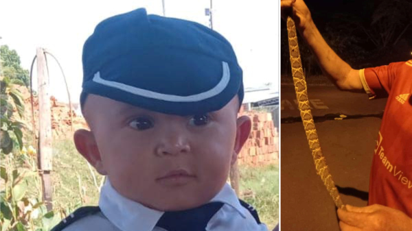 Criança foi atacada por cobra cascavel no final da tarde deste sábado, 18, em Panorama, e morreu neste domingo em Presidente Prudente (Reprodução/Panorama NotÃcia).