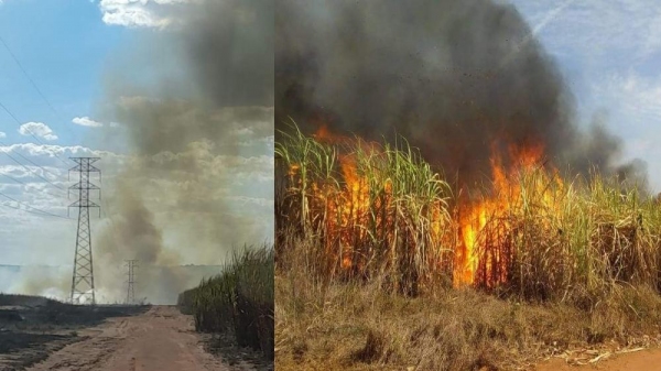 Incêndio em canavial atingiu linhas de alta tensão da Companhia de Transmissão de Energia Elétrica Paulista (CTEEP), empresa que leva energia até as redes de distribuição da Energisa (Foto: Flávio Ribeiro. Reprodução: Guina OnLine Parapuã).