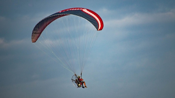 (Imagem ilustrativa: Hannes Jordaan/Pixabay).