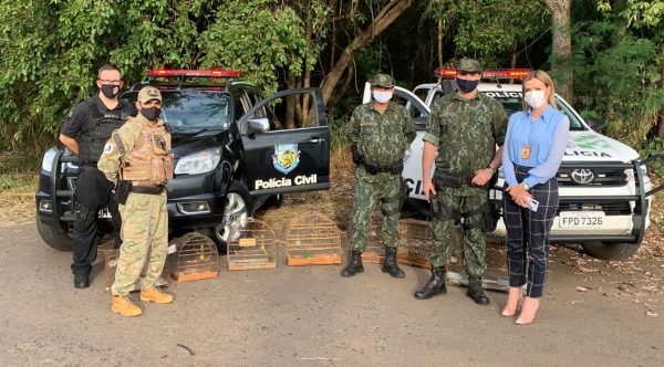 Operação de soltura teve a participação da Polícia Militar Ambiental e Polícia Civil (Divulgação).
