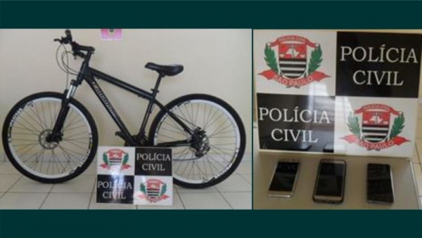 Um dos furtos ocorreu há mais de nove meses e agora foi esclarecido pela Polícia Civil de Adamantina (Foto: Cedida/Deinter 8/Polícia Civil).