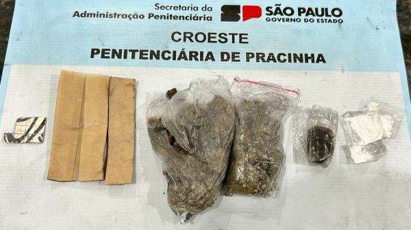 Droga que era levada pela visitante (Cedida/Croeste/SAP).