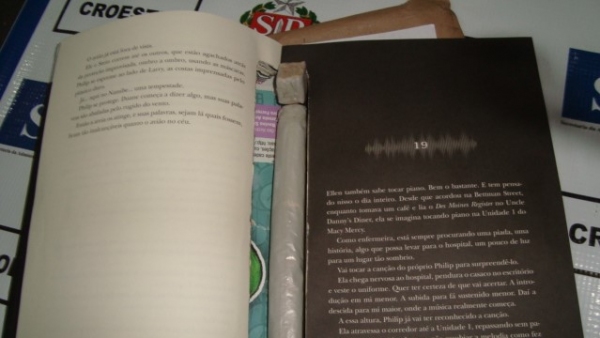 Droga estava em um compartimento falso do livro, que teve as páginas recortadas (Divulgação/Croeste/SAP).