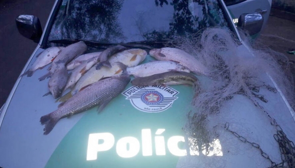 Peixes apreendidos na operação da Polícia Ambiental, no Salto Botelho, em Lucélia, foram doados à Casa dos Velhos de Dracena (Foto: Cedida/Polícia Ambiental).