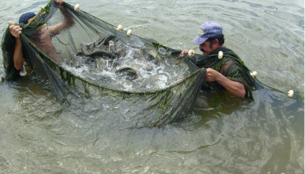 Há levantamento local de interessados em aderir ao programa de pesca e aquicultura, dentro da lógica da agricultura familiar (Imagem: Ilustração).