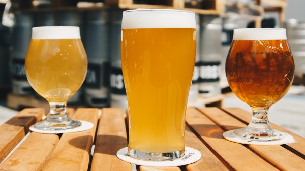 Entre os cursos, um deles aborda o processo de produção cervejeira e seus aspectos sensoriais (Elevate/Pexels).