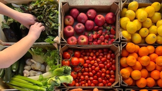 Encontro vai debater temas ligados à produção de frutas e hortaliças na Nova Alta Paulista (Foto de Elimira Lotti/Pexels).
