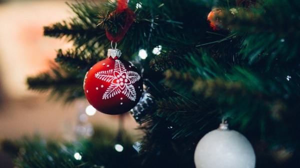 (Imagem: Freestocks/Pexels).