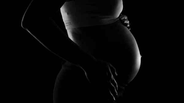 (Foto: Joao Paulo de Souza Oliveira/Pexels).