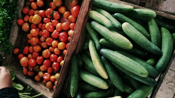 Programa foi criado com duas finalidades básicas que é a promoção do acesso à alimentação e o incentivo à agricultura familiar (Imagem ilustrativa/Nuzul Arifa/Pexels).