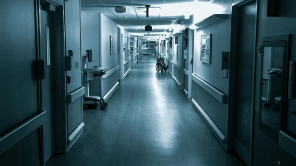 (Imagem ilustrativa/Sandy Torchon/Pexels).