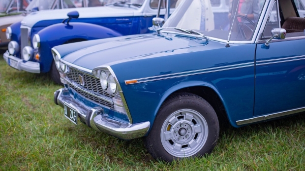 Encontro será realizado das 9h às 17h deste domingo, 4, no Parque dos Pioneiros, em Adamantina (Imagem ilustrativa: Valeria Boltneva/Pexels).