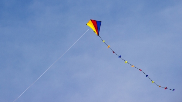 Comercialização de linha cortante é proibida por lei (Foto: Philippe Oursel/Unsplash).