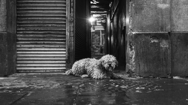 (Imagem ilustrativa: Photographer Frederik Trovatten/Unsplash).