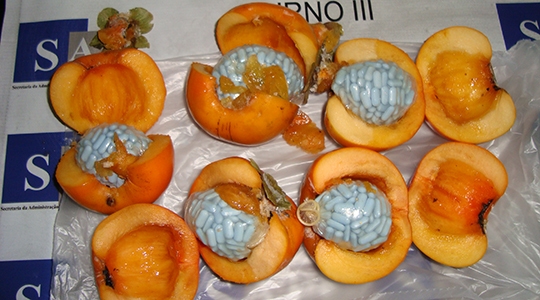 Caqui do prazer: frutas foram abertas e recheadas com estimulantes sexuais (Cedida/SAP).