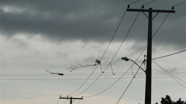 Foram 91 ocorrencias relacionadas a pipas na rede eletrica neste ano, na area de atuacao da Energisa (Cedida/Energisa).