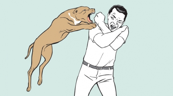 Homem sofreu um corte profundo no braço direito, antes do cotovelo, pelo cão,  e foi socorrido (Ilustração).
