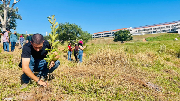 Plantio de mudas nativas com estudantes do curso de agronomia (Imagem: Jessica Nakadaira/FAI).