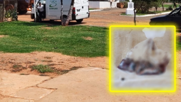 Feto humano encontrado no esgoto tem cerca de 15 cm (Foto: Diego Alves/Notícias da Hora/Birigui).