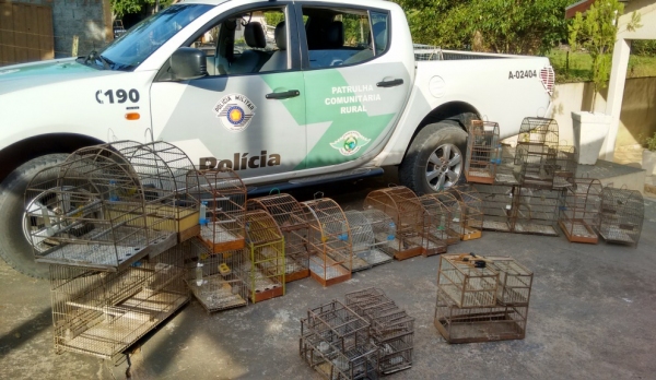 Após o registro policial  as aves foram apreendidas e soltas no habitat natural (Foto: Cedida).