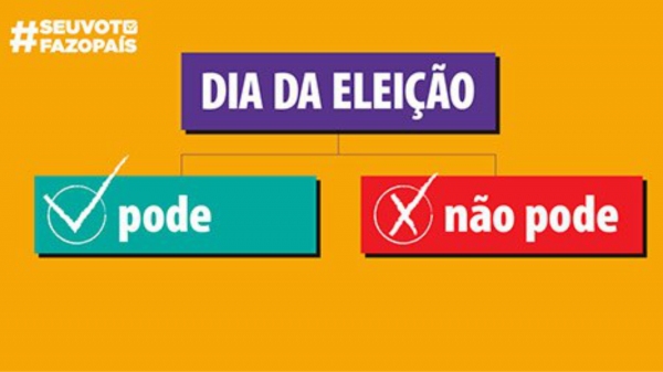 (Reprodução/Justiça Eleitoral).