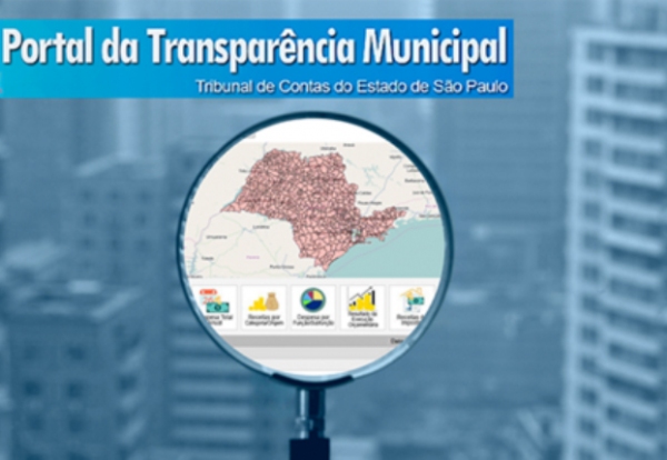 Portal oferece linguagem clara e análises simples de informações, para fácil interpretação pelo cidadão (Foto: Reprodução).