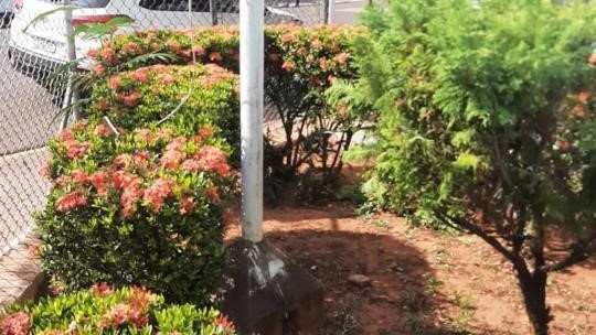 (Reprodução/OCNET).