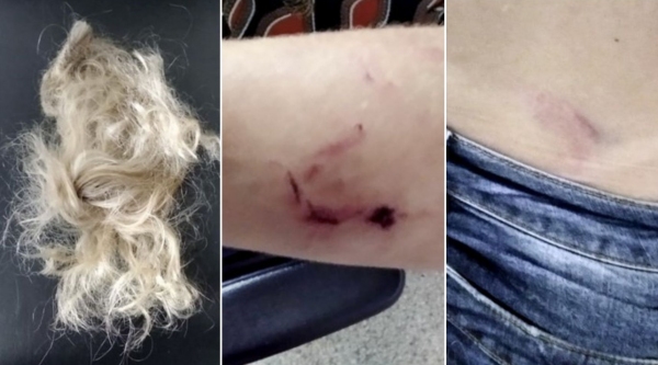 Mulher teve cabelos cortados com faca, além de sofrer agressões físicas e ameaças, pelo companheiro(Cedida/PM).