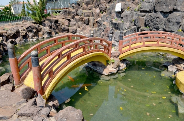 Água foi substituída no reservatório artificial da Praça José Costa, trazendo alívio aos peixes e à comunidade (Foto: Acácio Rocha)