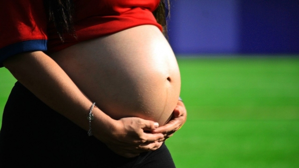 Atividade é oferecida para orientar gestantes e puérperas (Imagem: TC-Torres/Pixabay).