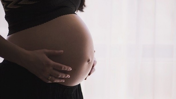 Anvisa recomendou a suspensão imediata do uso da vacina contra a covid-19 da AstraZeneca/Fiocruz para mulheres gestantes (Imagem de Free-Photos por Pixabay).