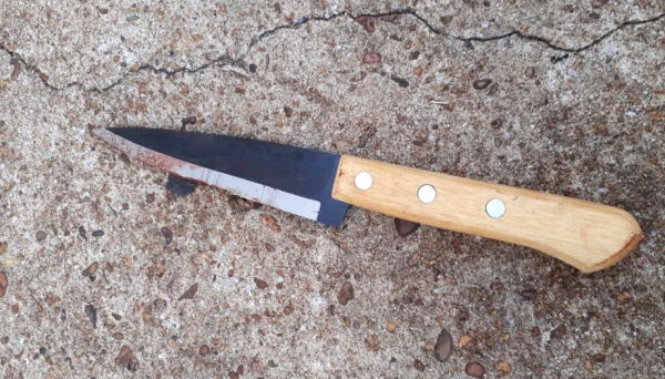 Faca usada no crime foi apreendida pela Polícia (Foto: Cedida/Deinter 8).