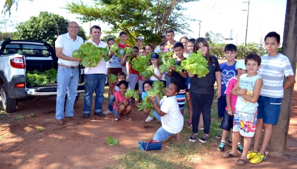 Horta Agroecológica ProEduc-FAI doa hortaliças a entidades assistenciais de Adamantina (Foto: Cedida/UniFAI).