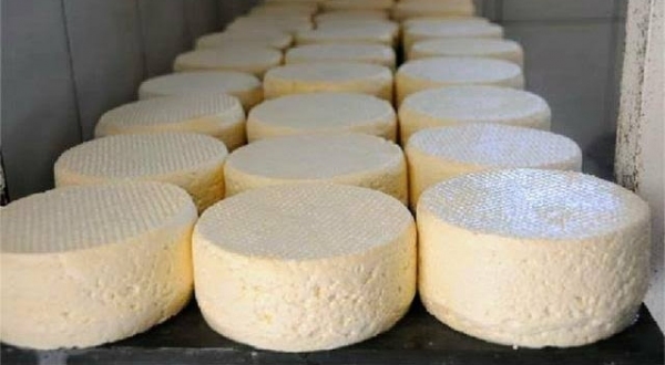 Produtores artesanais de queijos artesanais, mel, charcutaria e outros embutidos de origem animal agora terão segurança jurÃdica para comercializar seus produtos (Ilustração).