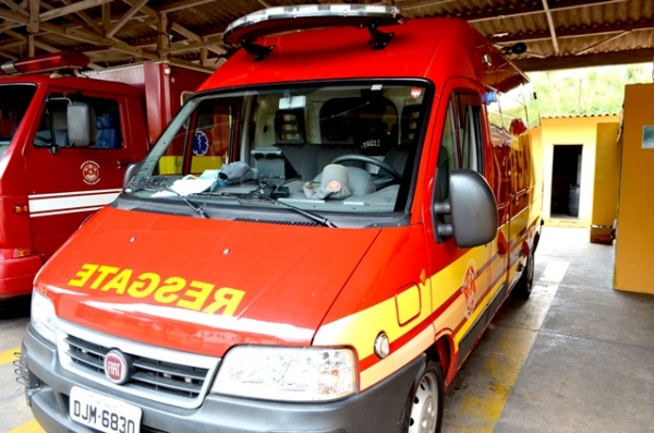 Números foram apurados de 1º de janeiro a 20 de outubro de 2015, com média de 5,42 ocorrências/dia. Maioria envolve resgates (Foto: Acácio Rocha).