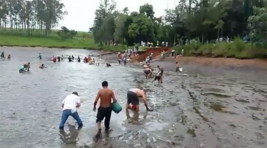 Após rompimento de represa, em propriedade rural, dono autoriza população a retirar peixes (Reprodução).